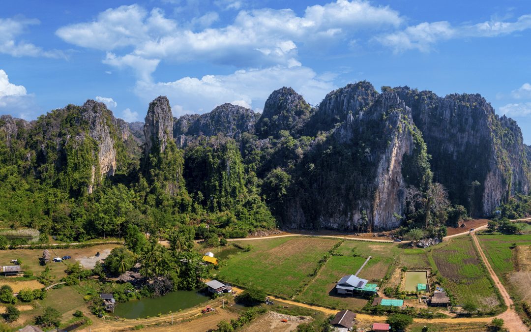 SE MANOS Y PIES (Vietnam)